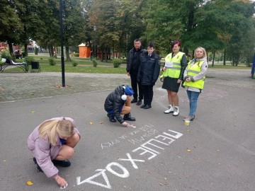 ТД Раздолье