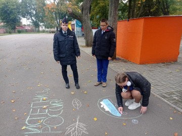 ТД Раздолье