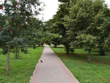 Сквер А.С. Пушкина