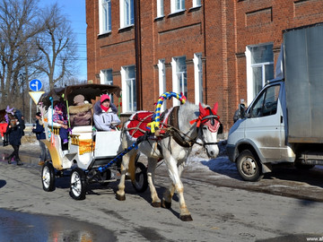 ТД Раздолье