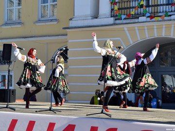 ТД Раздолье