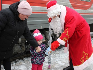 ТД Раздолье