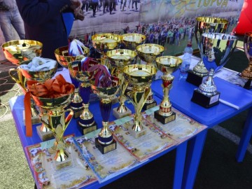 ТД Раздолье