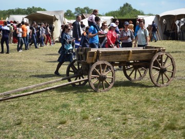 ТД Раздолье