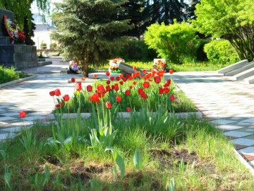 ТД Раздолье