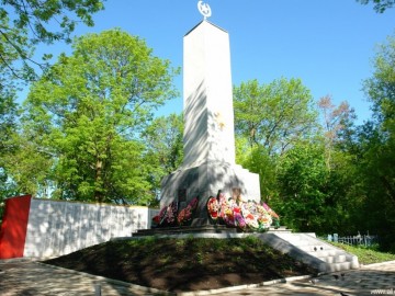 ТД Раздолье