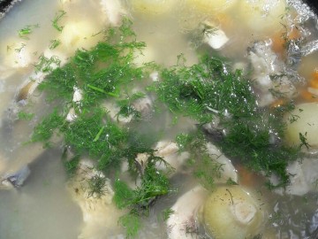 ТД Раздолье