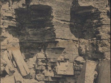 ТД Раздолье