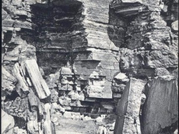 ТД Раздолье