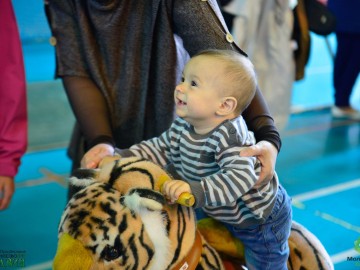 ТД Раздолье