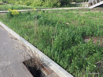 ТД Раздолье