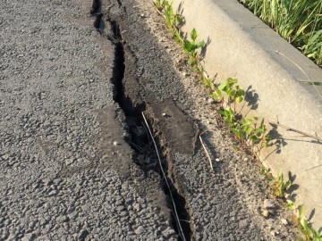 ТД Раздолье