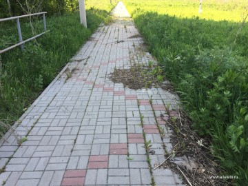 ТД Раздолье