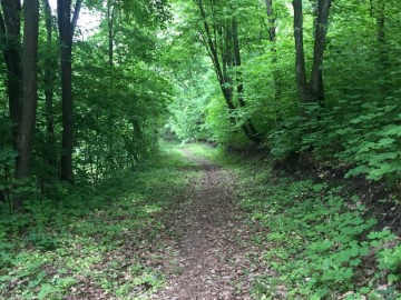 ТД Раздолье