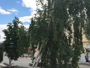 ТД Раздолье