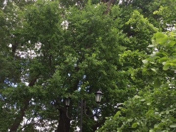 ТД Раздолье