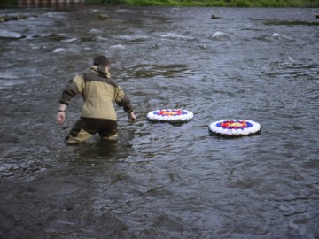 ТД Раздолье