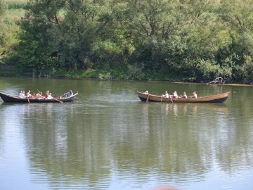 ТД Раздолье