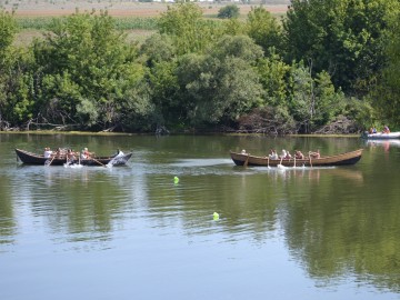 ТД Раздолье