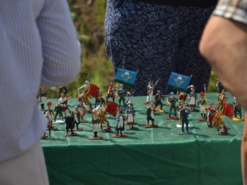 ТД Раздолье