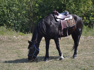 ТД Раздолье