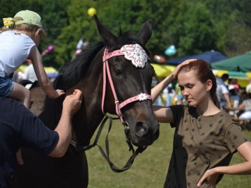 ТД Раздолье