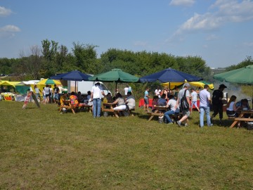 ТД Раздолье