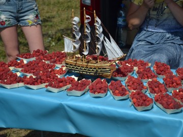 ТД Раздолье