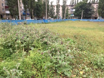 ТД Раздолье