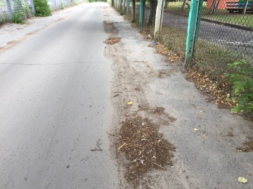 ТД Раздолье