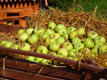 ТД Раздолье