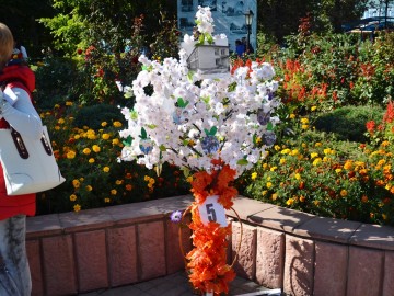 ТД Раздолье