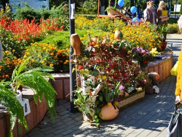 ТД Раздолье