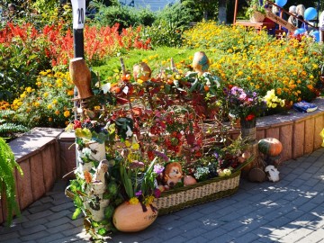 ТД Раздолье