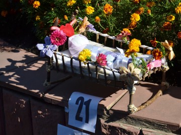 ТД Раздолье