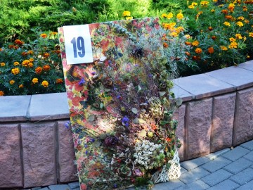 ТД Раздолье