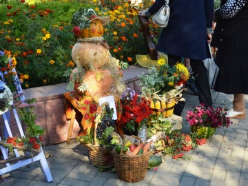 ТД Раздолье