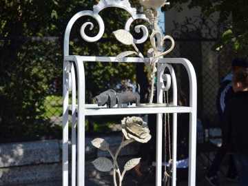 ТД Раздолье