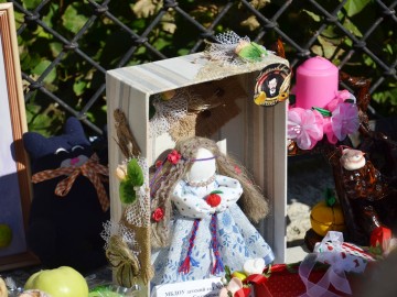 ТД Раздолье