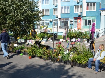 ТД Раздолье