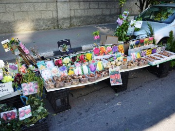 ТД Раздолье