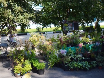 ТД Раздолье