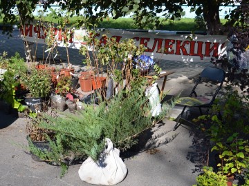 ТД Раздолье