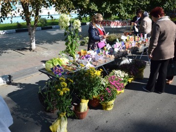 ТД Раздолье