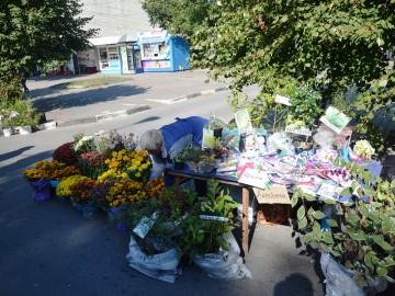 ТД Раздолье