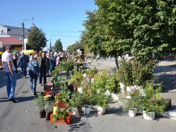 ТД Раздолье