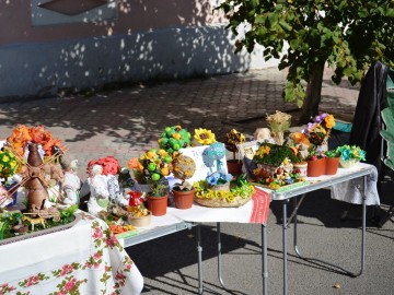 ТД Раздолье