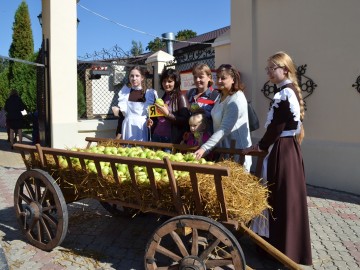 ТД Раздолье