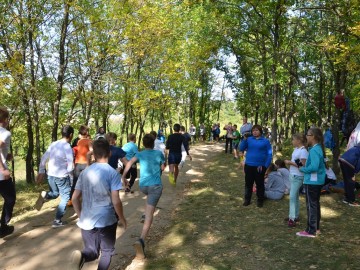 ТД Раздолье