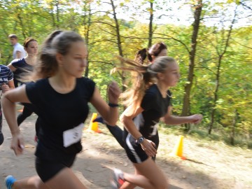 ТД Раздолье